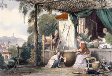 Destroying the Chrysalids and Reeling the Cocoons, from 